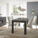 Table de salle à manger 180 cm BURGA OXYDE
